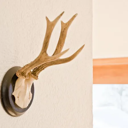 Matterhorn - Griwa Rent Ag