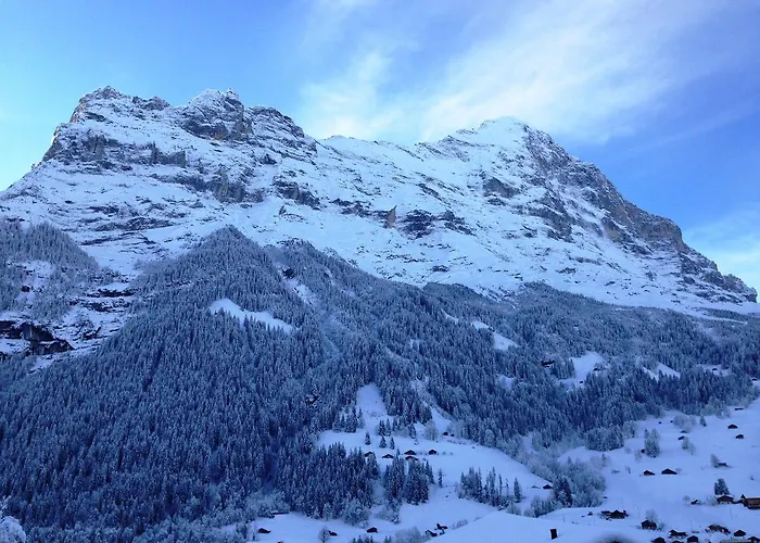 Matterhorn - Griwa Rent Ag 公寓 格林德瓦