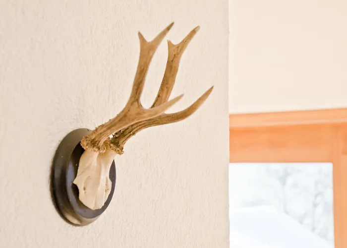 Matterhorn - Griwa Rent Ag