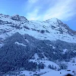 Matterhorn - Griwa Rent Ag Διαμέρισμα Γκρίντελβαλντ